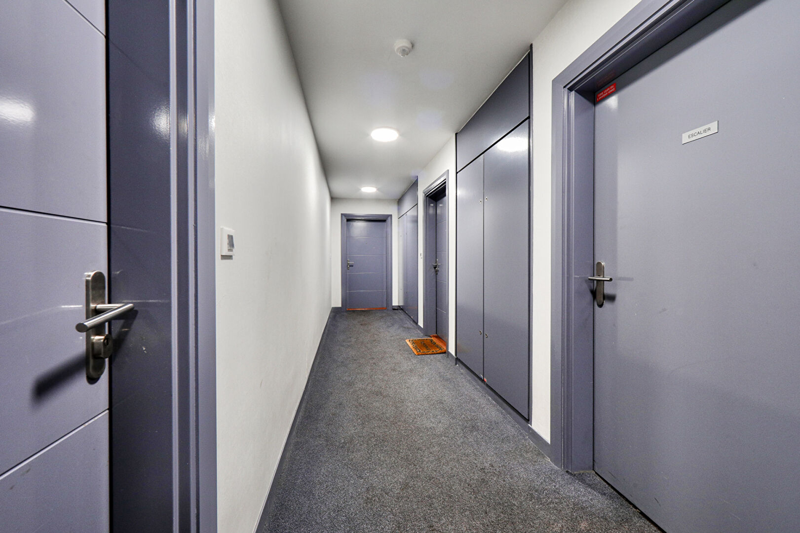 Appartement Saint Ouen Sur Seine 4 pièce(s)